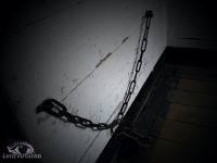 DSC_0015