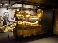 DSC_1106
