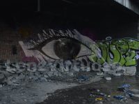 DSC_2571