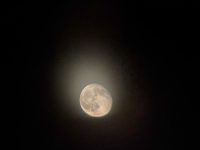 IMG_2905
