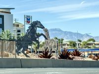 IMG_3010