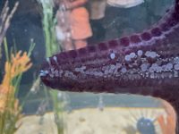 IMG_3992