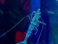 IMG_4067