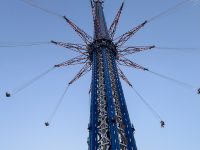 IMG_4446