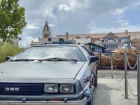 IMG_4617