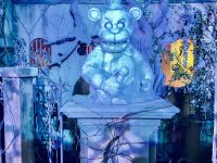 IMG_4695