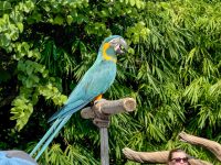 IMG_5470