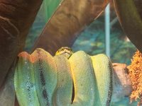 IMG_5762