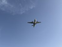 IMG_5875