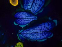 IMG_6063