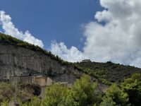 IMG_6101