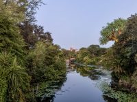 IMG_6102