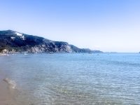 IMG_6155