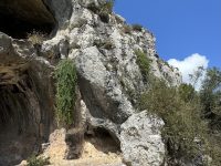 IMG_6157