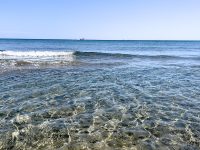 IMG_6165