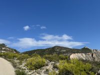 IMG_6194
