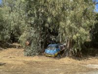 IMG_6318 (1)