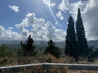 IMG_6322 (1)