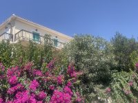 IMG_6482