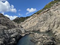 IMG_6556 (1)