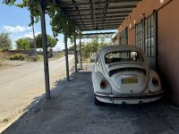 IMG_6603