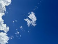 IMG_6769