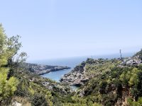 IMG_6786