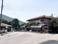 IMG_6890