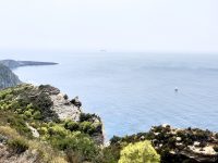 IMG_6897