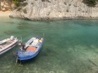 IMG_6905