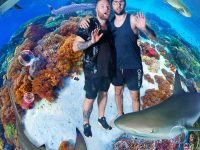 file_1757820766573