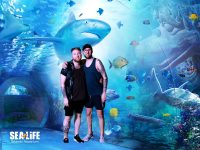 file_1757820773351